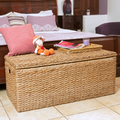 Wicker Storage Trunk Bench