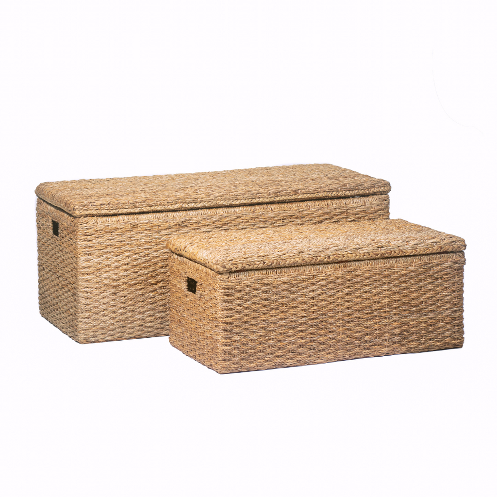 Storage Bench Trunk Bundle (1 large storage trunk + 1 extra large storage bench)